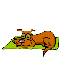 dogs-224