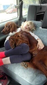IMG-20190525-WA0095