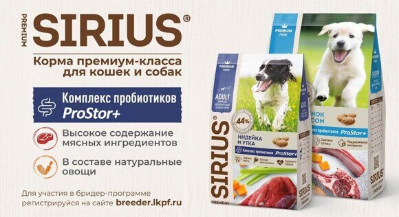 листовка