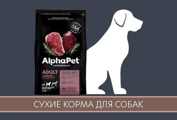 IMG-20231103-WA0011